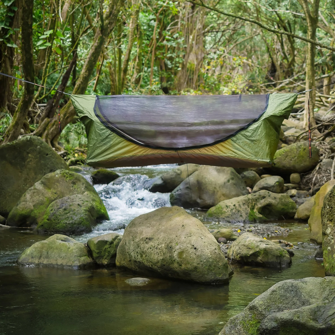 ننو تنت Safari R2